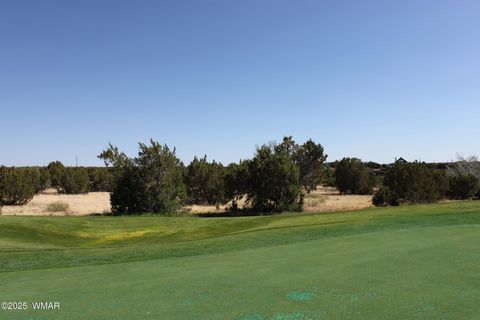 Tiny photo for 8384 Lake View Drive, Show Low, AZ 85901 (MLS # 257315)