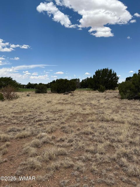 Tiny photo for 8384 Lake View Drive, Show Low, AZ 85901 (MLS # 257315)