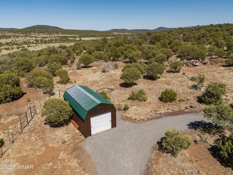 Tiny photo for 10 N County Road 3167, Vernon, AZ 85940 (MLS # 256643)
