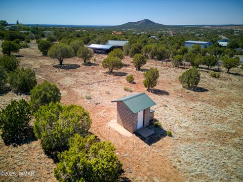 Tiny photo for 10 N County Road 3167, Vernon, AZ 85940 (MLS # 256643)