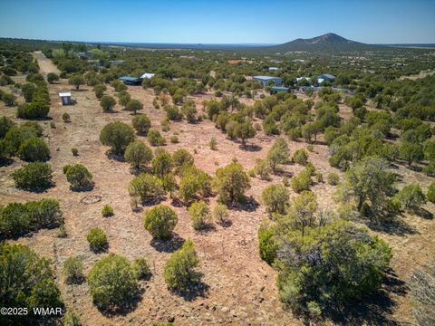Tiny photo for 10 N County Road 3167, Vernon, AZ 85940 (MLS # 256643)