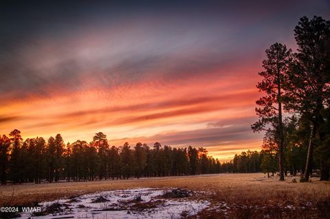 Tiny photo for 6436 Mark Twain Drive, Pinetop, AZ 85935 (MLS # 257586)