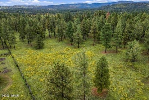 Tiny photo for 38650 State Route 373, Greer, AZ 85927 (MLS # 263025)