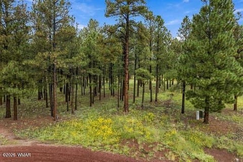 Tiny photo for 38650 State Route 373, Greer, AZ 85927 (MLS # 263025)