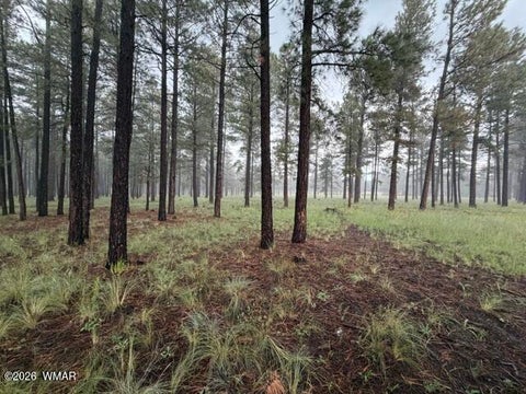 Photo of 38650 State Route 373, Greer, AZ 85927 (MLS # 263025)