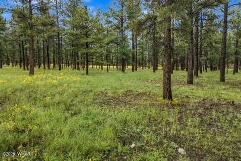 Tiny photo for 38650 State Route 373, Greer, AZ 85927 (MLS # 263025)