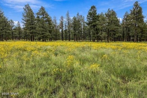 Tiny photo for 38650 State Route 373, Greer, AZ 85927 (MLS # 263025)