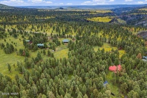Tiny photo for 38650 State Route 373, Greer, AZ 85927 (MLS # 263025)