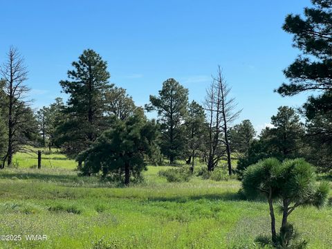 Tiny photo for TBD County Road N1334, Greer, AZ 85927 (MLS # 254327)