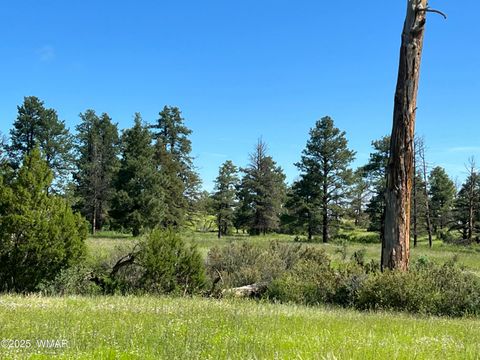 Photo of TBD County Road N1334, Greer, AZ 85927 (MLS # 254327)