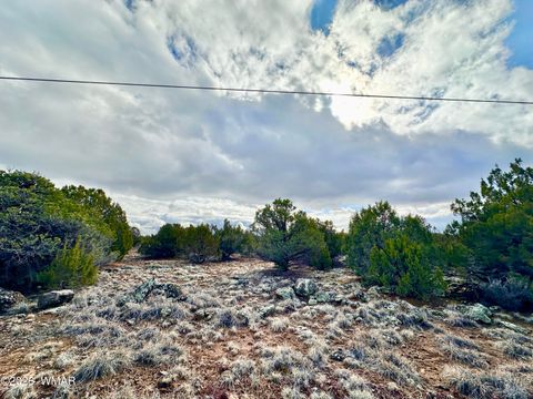 Tiny photo for 14 County Rd 8248, Vernon, AZ 85940 (MLS # 259275)