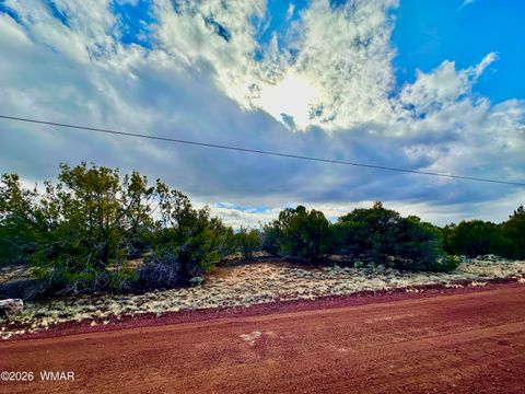 Tiny photo for 14 County Rd 8248, Vernon, AZ 85940 (MLS # 259275)