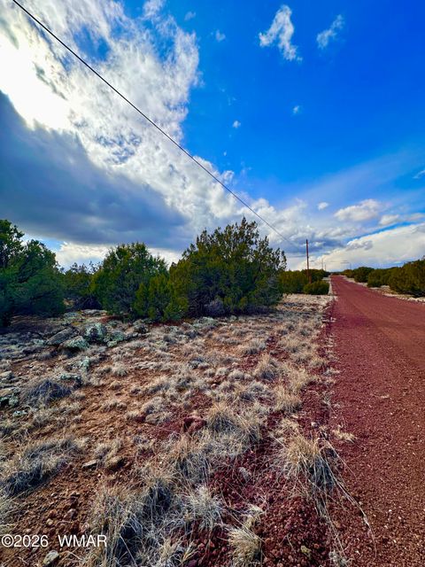 Photo of 14 County Rd 8248, Vernon, AZ 85940 (MLS # 259275)