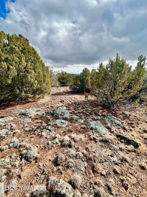 Tiny photo for 14 County Rd 8248, Vernon, AZ 85940 (MLS # 259275)