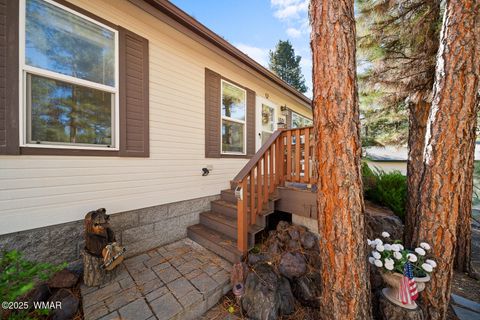 Tiny photo for 1001 S Cherokee Drive, Show Low, AZ 85901 (MLS # 258436)