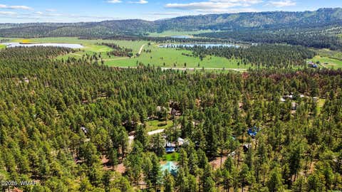 Tiny photo for 529 County Road 1122, Greer, AZ 85927 (MLS # 262646)