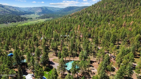 Tiny photo for 529 County Road 1122, Greer, AZ 85927 (MLS # 262646)