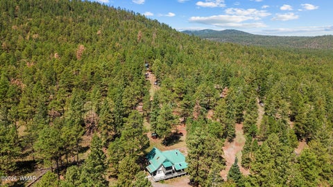 Tiny photo for 529 County Road 1122, Greer, AZ 85927 (MLS # 262646)