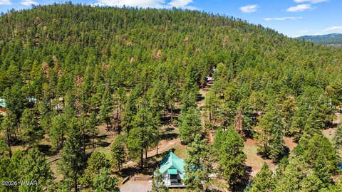 Tiny photo for 529 County Road 1122, Greer, AZ 85927 (MLS # 262646)