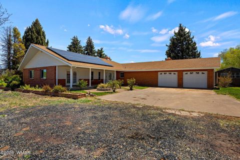 Photo of 109 Power Lane, Taylor, AZ 85939 (MLS # 260770)