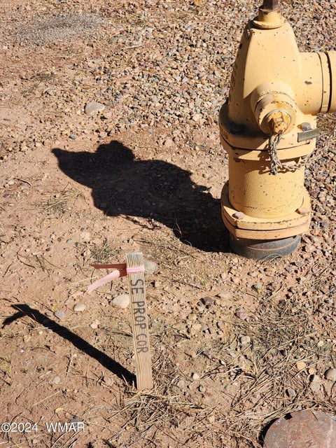 Tiny photo for TBD 19th Street, Snowflake, AZ 85937 (MLS # 257012)