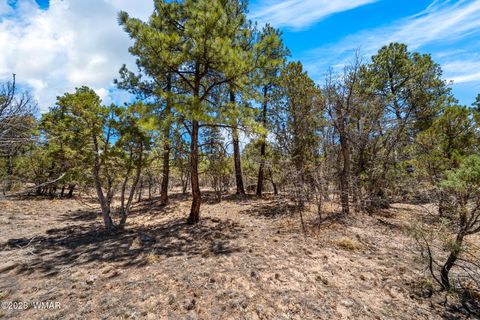 Tiny photo for 4490 W Hawthorn Road, Show Low, AZ 85901 (MLS # 256146)
