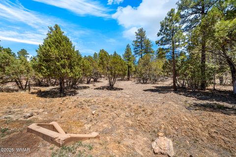 Tiny photo for 4490 W Hawthorn Road, Show Low, AZ 85901 (MLS # 256146)
