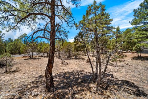 Tiny photo for 4490 W Hawthorn Road, Show Low, AZ 85901 (MLS # 256146)