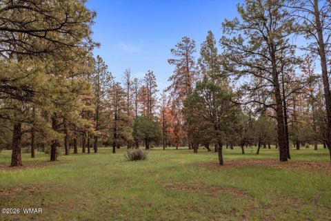 Tiny photo for 15 County Road 2019, Nutrioso, AZ 85932 (MLS # 263517)