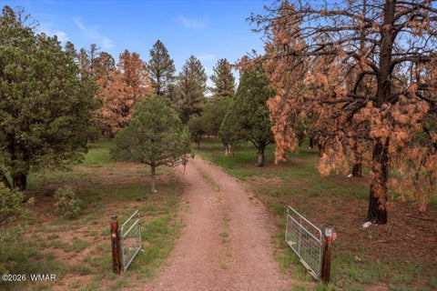 Tiny photo for 15 County Road 2019, Nutrioso, AZ 85932 (MLS # 263517)