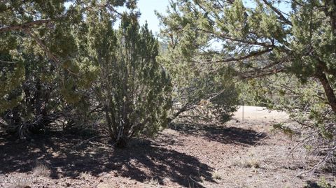Tiny photo for 45 Co Road, Vernon, AZ 85940 (MLS # 260134)