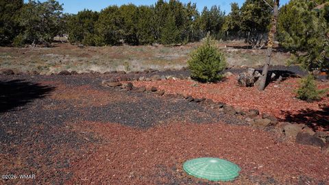 Tiny photo for 45 Co Road, Vernon, AZ 85940 (MLS # 260134)