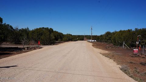 Tiny photo for 45 Co Road, Vernon, AZ 85940 (MLS # 260134)