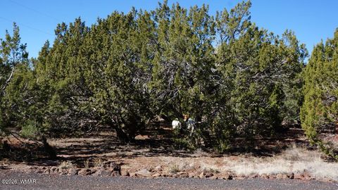 Tiny photo for 45 Co Road, Vernon, AZ 85940 (MLS # 260134)