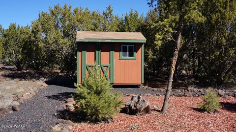 Tiny photo for 45 Co Road, Vernon, AZ 85940 (MLS # 260134)
