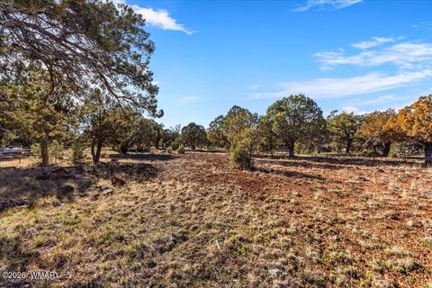 Tiny photo for 5437 Show Low Lake Road, Lakeside, AZ 85929 (MLS # 260128)