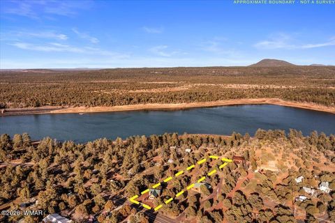 Tiny photo for 5437 Show Low Lake Road, Lakeside, AZ 85929 (MLS # 260128)