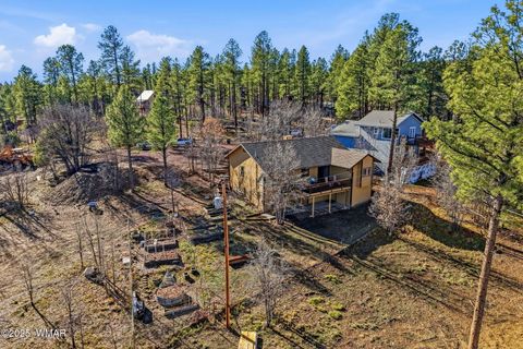 Tiny photo for 5518 Pine Drive, Pinedale, AZ 85934 (MLS # 258787)