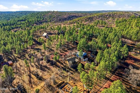 Tiny photo for 5518 Pine Drive, Pinedale, AZ 85934 (MLS # 258787)