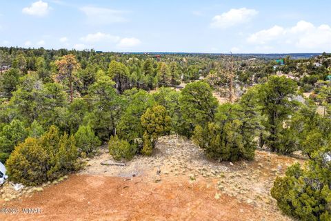 Tiny photo for 1971 Bradley Lane, Overgaard, AZ 85933 (MLS # 259555)