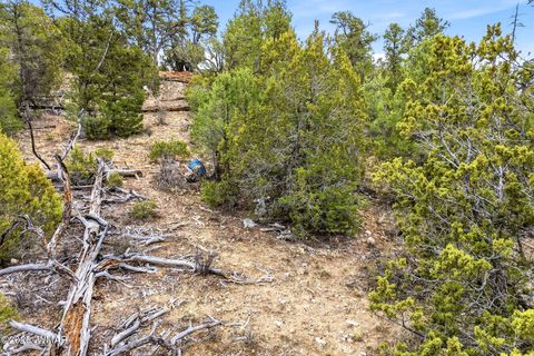 Tiny photo for 1971 Bradley Lane, Overgaard, AZ 85933 (MLS # 259555)