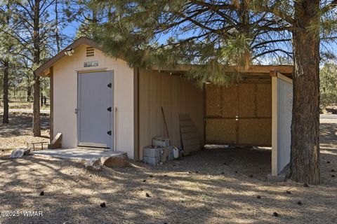 Tiny photo for 3381 Mogollon Drive, Overgaard, AZ 85933 (MLS # 258751)