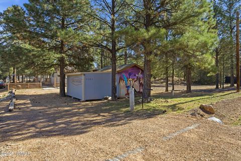 Tiny photo for 3381 Mogollon Drive, Overgaard, AZ 85933 (MLS # 258751)