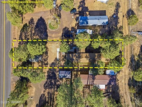 Tiny photo for 3381 Mogollon Drive, Overgaard, AZ 85933 (MLS # 258751)