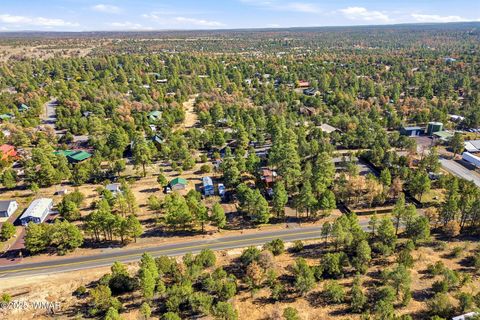 Tiny photo for 3381 Mogollon Drive, Overgaard, AZ 85933 (MLS # 258751)