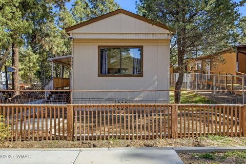 Tiny photo for 3381 Mogollon Drive, Overgaard, AZ 85933 (MLS # 258751)