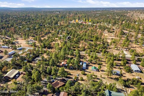 Tiny photo for 3381 Mogollon Drive, Overgaard, AZ 85933 (MLS # 258751)