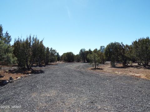 Tiny photo for 104 County Rd 3114, Vernon, AZ 85940 (MLS # 260060)