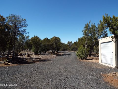 Tiny photo for 104 County Rd 3114, Vernon, AZ 85940 (MLS # 260060)