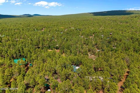 Tiny photo for 328 W Billy Creek Drive, Lakeside, AZ 85929 (MLS # 260390)